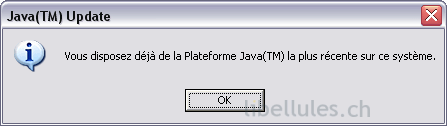 java ok