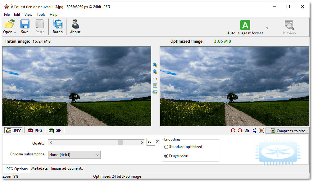 Radical Image Optimization Tool (RIOT)