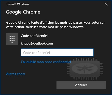Chrome Password