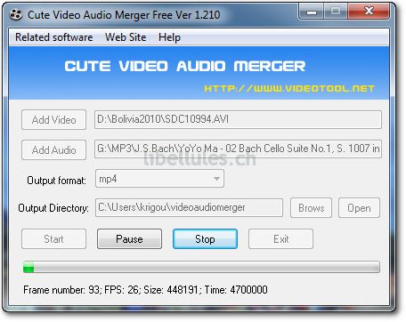 Cute Video Audio Merger Free Version