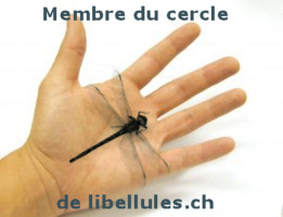 libellules.ch