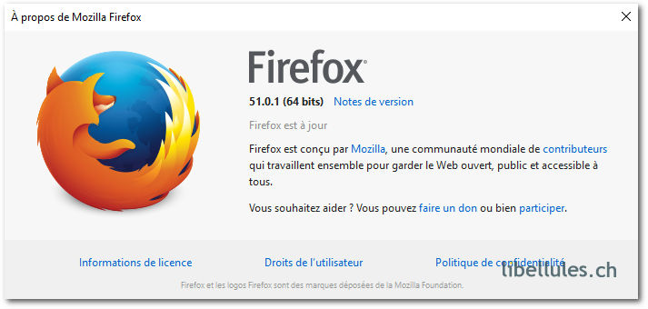 Possesseur d'une version x64 de Windows, contrôlez si vous utilisez bien Firefox 64 bits