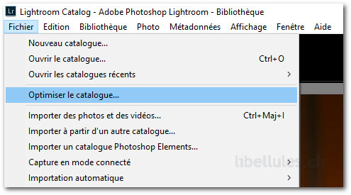 Optimisez le catalogue de Lightroom pour augmenter ses performances